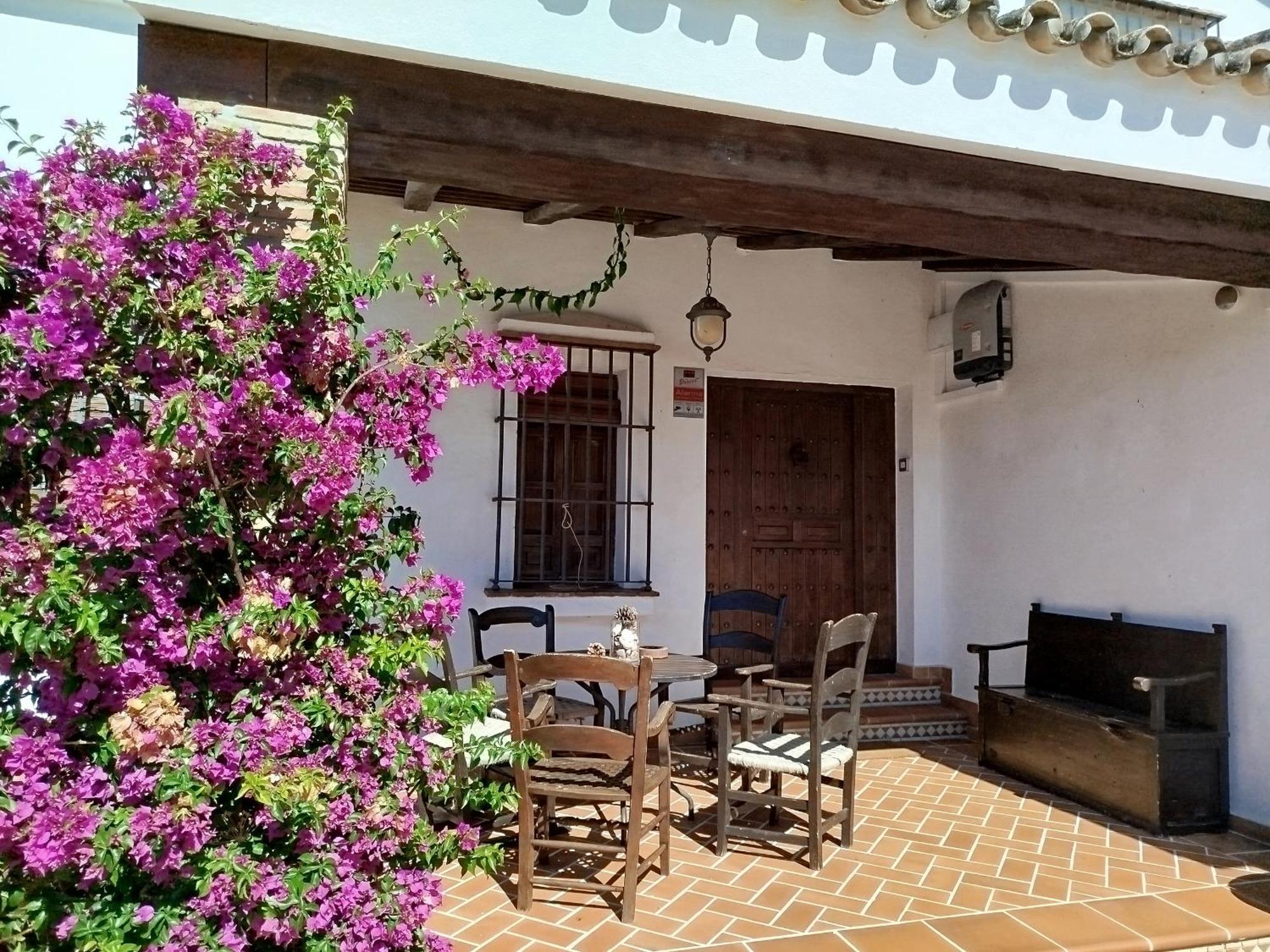 Gran Casa Con Piscina Privada By Chiclana Dreams Villa Chiclana de la Frontera Exterior photo